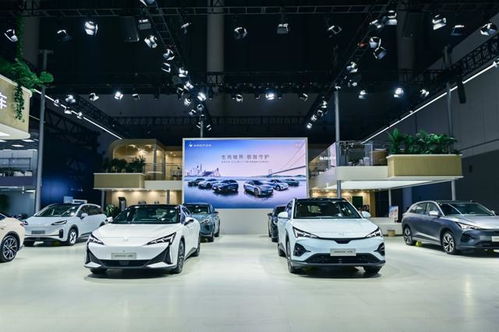 8月新能源汽車銷量榜盤點 零跑強勢殺入前五，極越首登牌桌